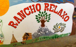 Matches Mexican Bird – Rancho Relaxo